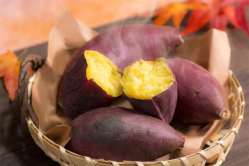 an khoai lang co tot khong