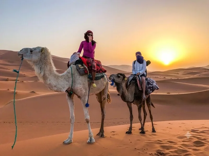 Du lịch Sahara với đụn cát Merzouga, lạc đà và trại giữa sa mạc